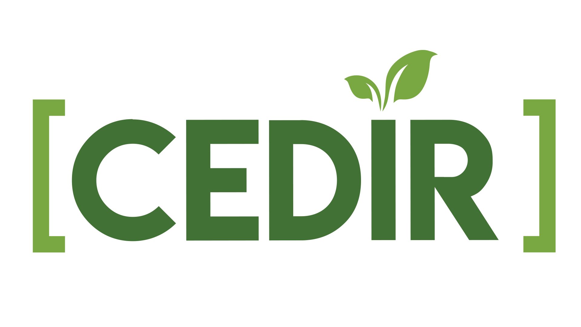 Cedir