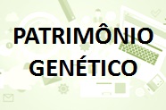 Imagem 6