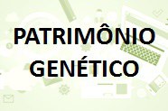 Imagem 6