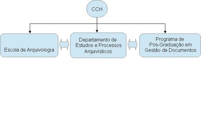ORGANOGRAMA