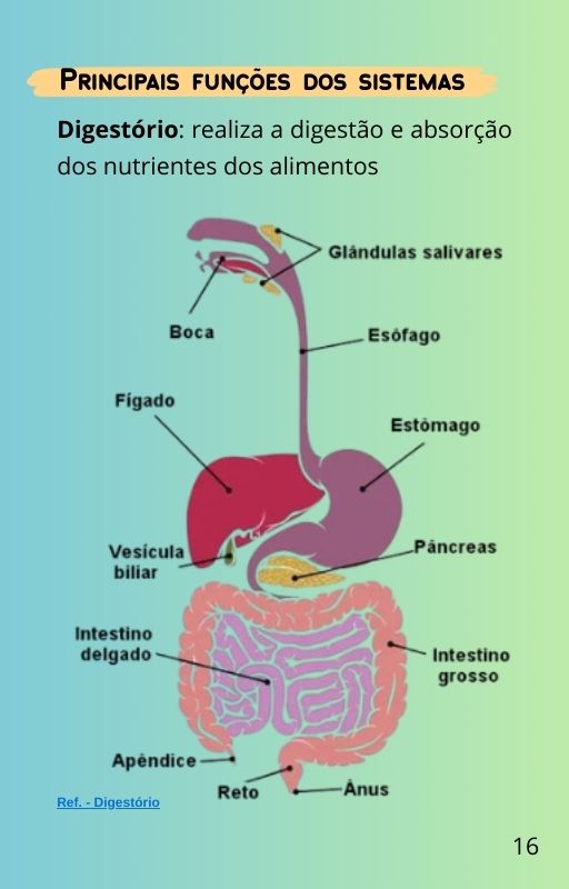 Corpo16