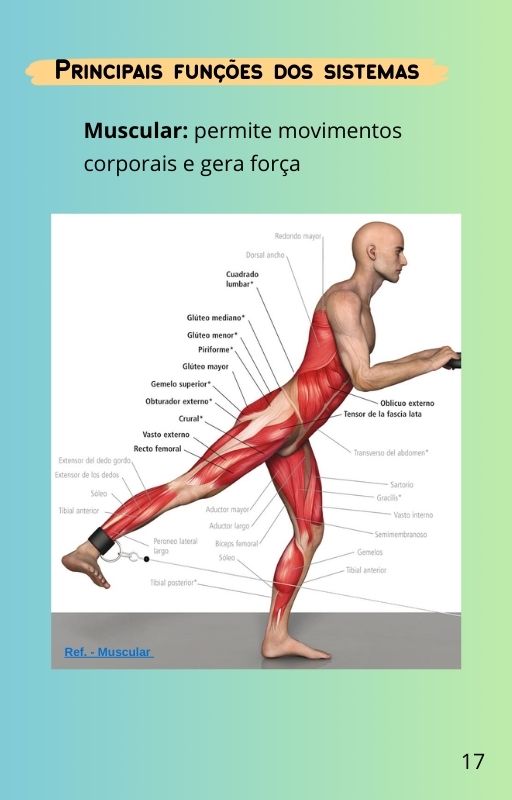 Corpo17