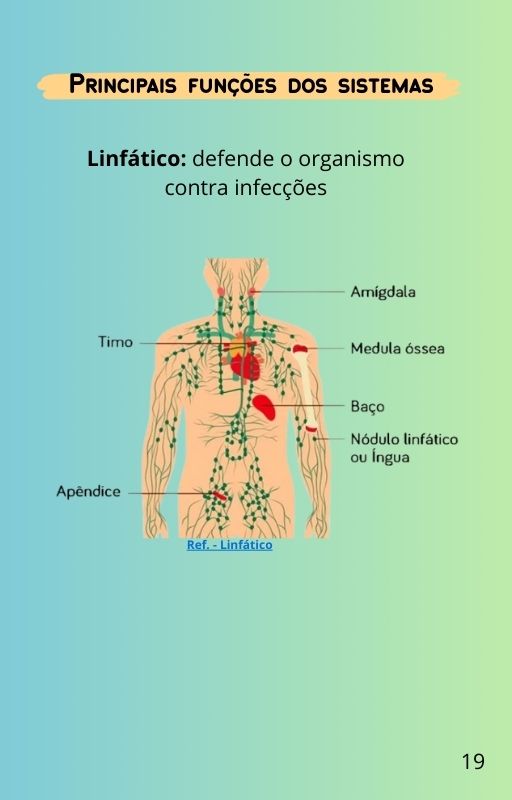 Corpo19