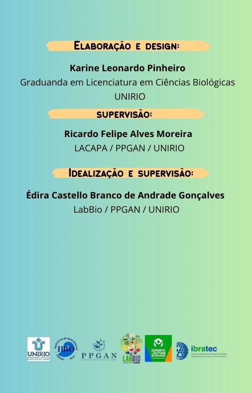 Corpo 2