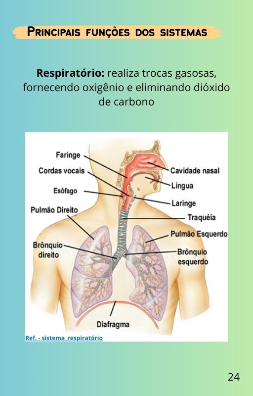 Corpo24