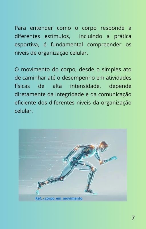 Corpo7