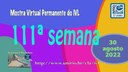 Mostra Virtual Permanente do IVL - 111ª semana