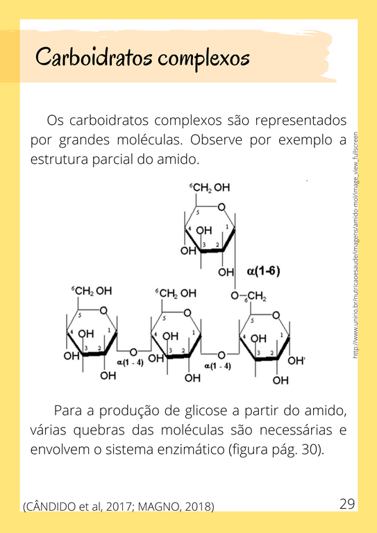 Cartilha2_28