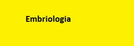 Embriologia