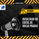 Resultado Bolsa Pradig