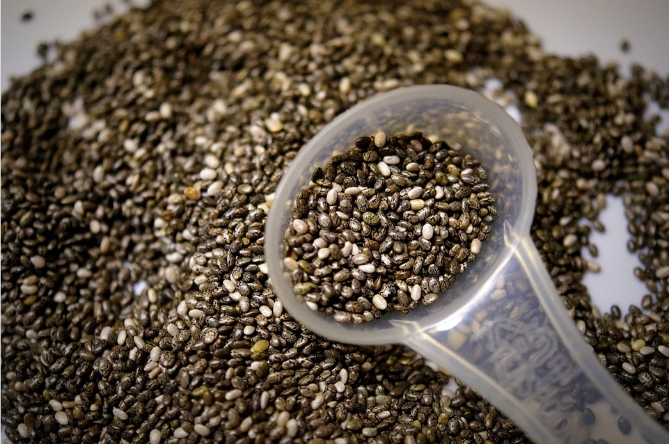 Palestra do PPGAN aborda propriedades funcionais e aplicações culinárias da chia