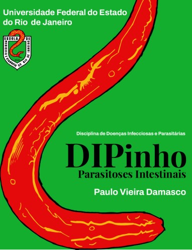 Livro DIPinho 2024