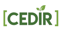 Cedir