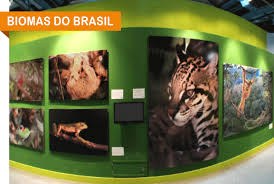Biomas do Brasil