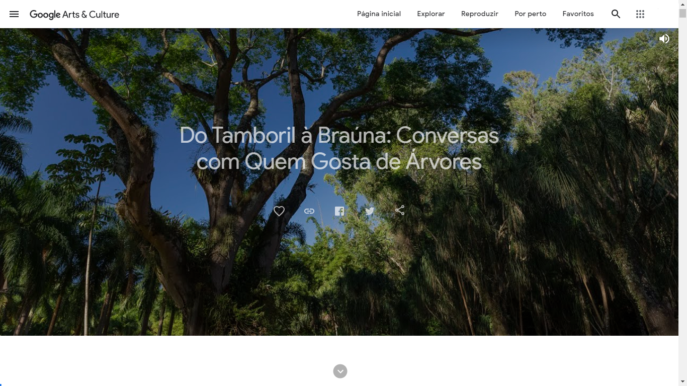 inhotim of inhotim of