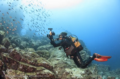 Um dos pesquisadores no momento do registro de um cardume durante a expedição (Foto: Áthila Bertoncini)