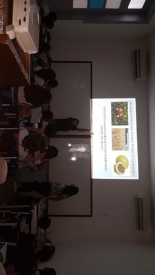 Palestra - sementes 2