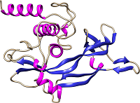Grupo de Bioinformática publica estudo em revista internacional Grupo de Bioinformática publica estudo em revista internacional